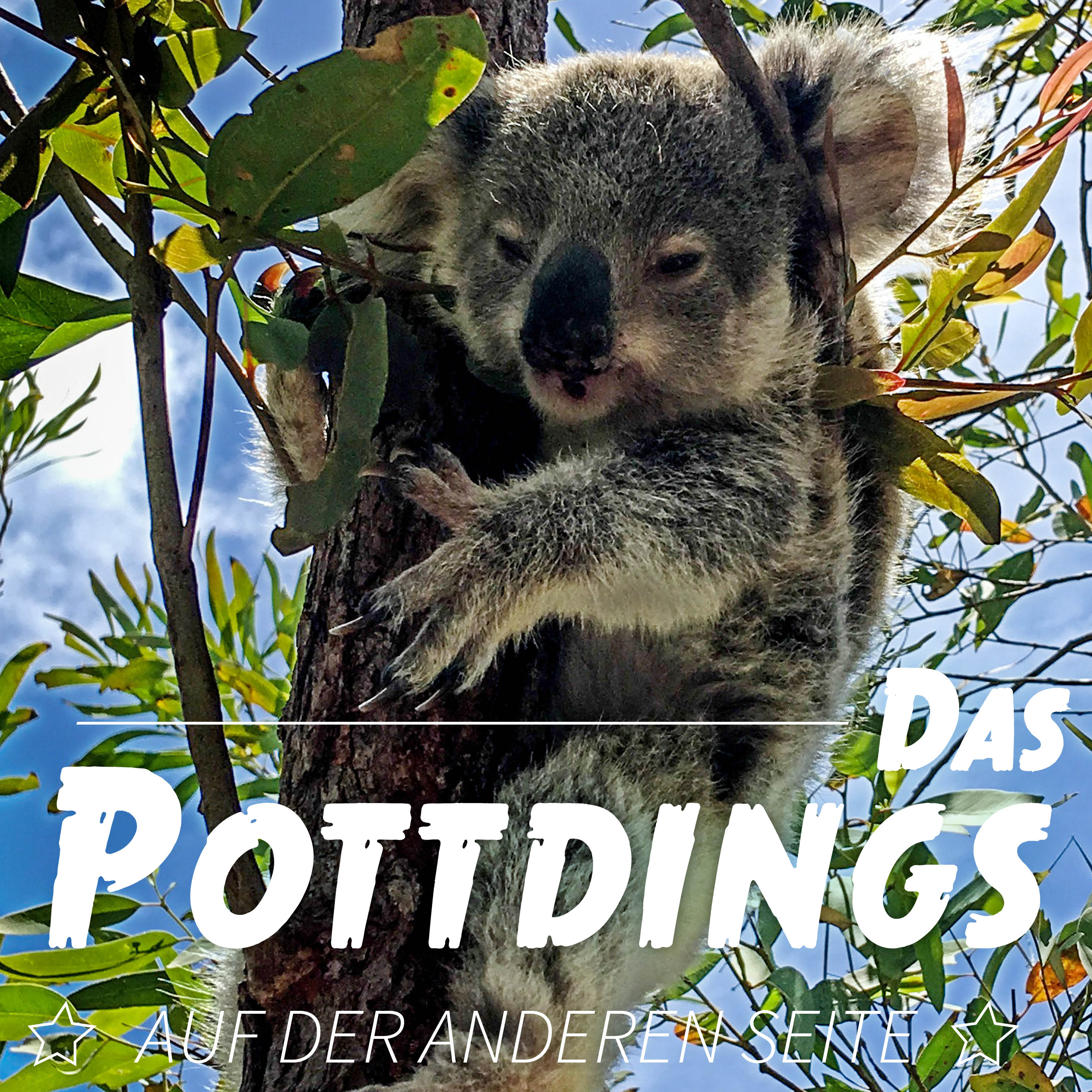 Das Pottdings